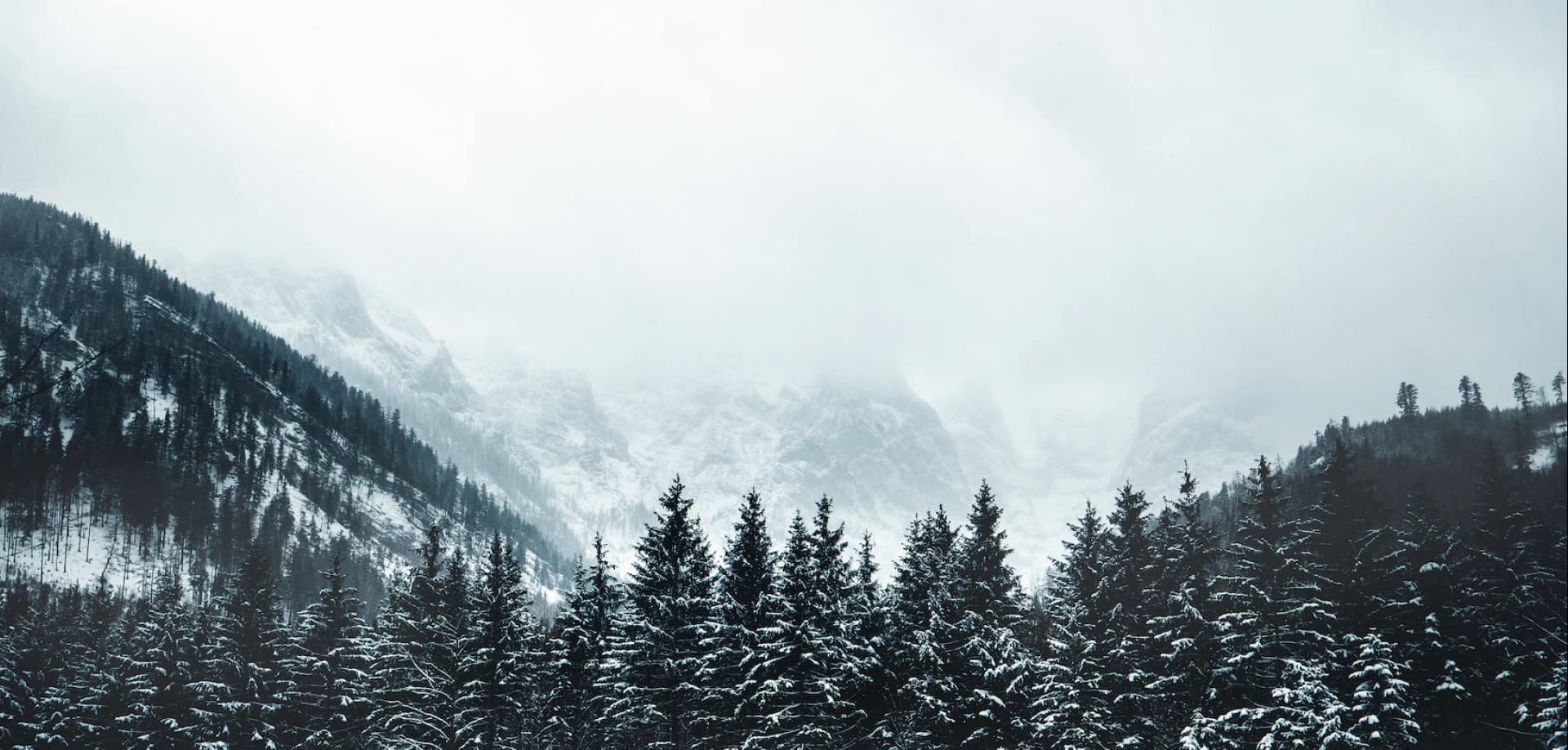 hero_bg
